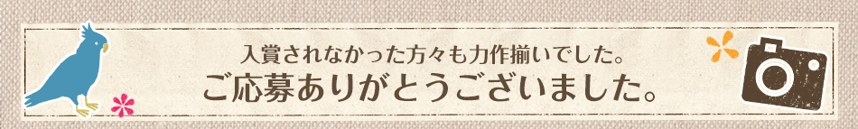 入賞されなかった方々も力作揃いでした。
ご応募ありがとうございました。
