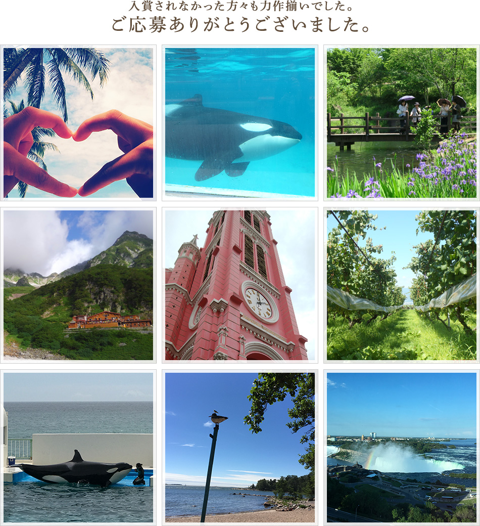 入賞されなかった方々も力作揃いでした。
ご応募ありがとうございました。